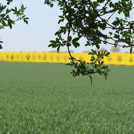 Appartement Kuestenkomfort *