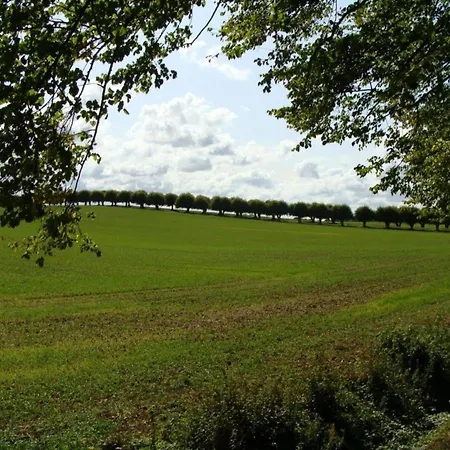 Peaceful In Germany Near Boltenhagener