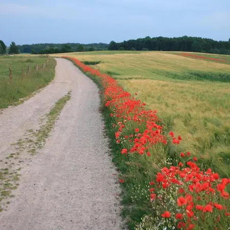 Kuestenkomfort Appartement *