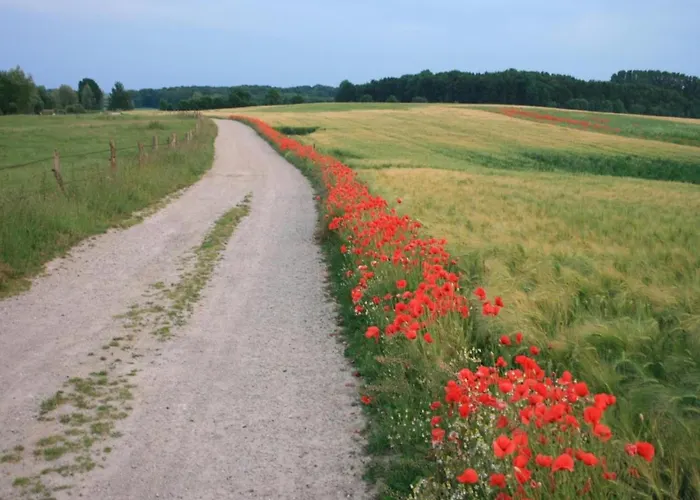 Kuestenkomfort Апартаменты *